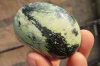Polished Leopard Stone Palm Stones x 12 From Zimbabwe - Toprock Gemstones and Minerals 