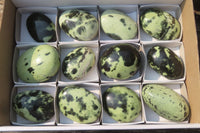Polished Leopard Stone Palm Stones x 12 From Zimbabwe - Toprock Gemstones and Minerals 
