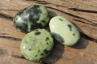 Polished Leopard Stone Palm Stones x 12 From Zimbabwe - Toprock Gemstones and Minerals 