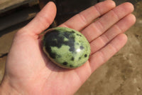 Polished Leopard Stone Palm Stones x 12 From Zimbabwe - Toprock Gemstones and Minerals 