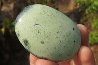 Polished Leopard Stone Palm Stones x 12 From Zimbabwe - Toprock Gemstones and Minerals 
