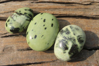 Polished Leopard Stone Palm Stones x 12 From Zimbabwe - Toprock Gemstones and Minerals 