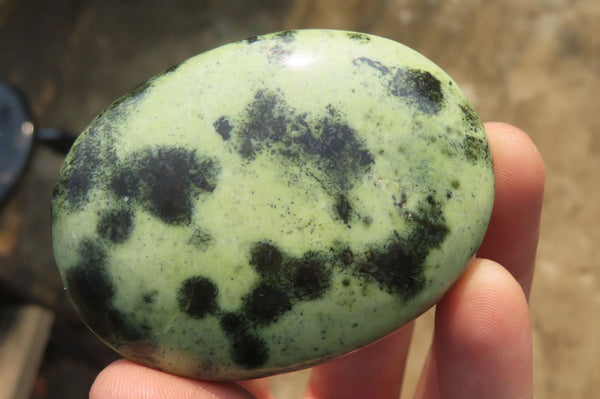 Polished Leopard Stone Palm Stones x 12 From Zimbabwe - Toprock Gemstones and Minerals 