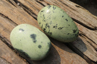 Polished Leopard Stone Palm Stones x 12 From Zimbabwe - Toprock Gemstones and Minerals 