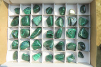 Polished Flower Banded Malachite Free Forms x 35 From Congo - Toprock Gemstones and Minerals 