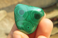 Polished Flower Banded Malachite Free Forms x 35 From Congo - Toprock Gemstones and Minerals 