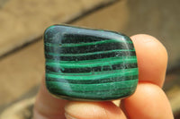 Polished Flower Banded Malachite Free Forms x 35 From Congo - Toprock Gemstones and Minerals 