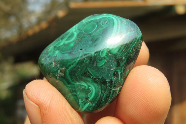 Polished Flower Banded Malachite Free Forms x 35 From Congo - Toprock Gemstones and Minerals 