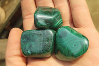 Polished Flower Banded Malachite Free Forms x 35 From Congo - Toprock Gemstones and Minerals 