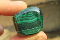 Polished Flower Banded Malachite Free Forms x 35 From Congo - Toprock Gemstones and Minerals 