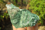 Natural Jade Cobbed Specimens x 12 From Swaziland - Toprock Gemstones and Minerals 