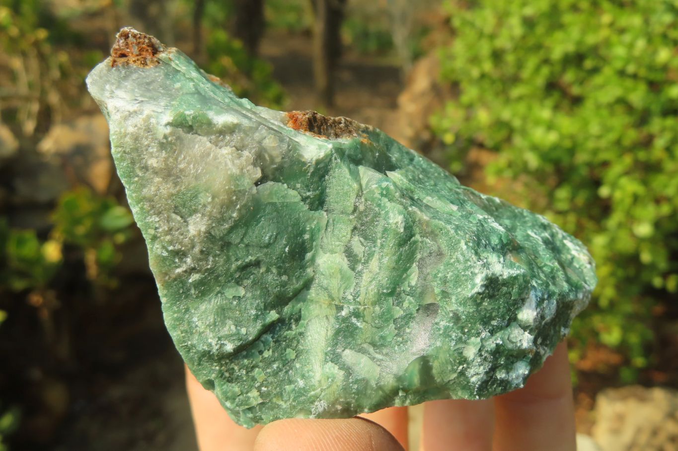 Natural Jade Cobbed Specimens x 12 From Swaziland - Toprock Gemstones and Minerals 