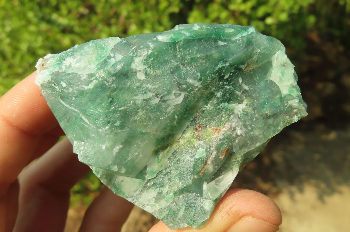 Natural Jade Cobbed Specimens x 12 From Swaziland - Toprock Gemstones and Minerals 