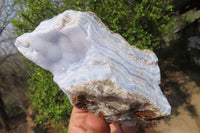 Natural Crystalline Blue Lace Agate Plates x 2 From Namibia - Toprock Gemstones and Minerals 