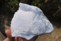 Natural Crystalline Blue Lace Agate Plates x 2 From Namibia - Toprock Gemstones and Minerals 