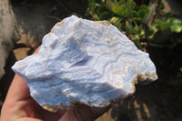 Natural Crystalline Blue Lace Agate Plates x 2 From Namibia - Toprock Gemstones and Minerals 