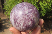 Polished Lepidolite with Pink Rubellite Spheres x 2 From Ambatondrazaka, Madagascar - Toprock Gemstones and Minerals 