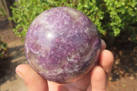 Polished Lepidolite with Pink Rubellite Spheres x 2 From Ambatondrazaka, Madagascar - Toprock Gemstones and Minerals 