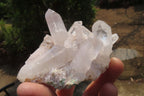 Natural Clear Quartz Crystal Clusters x 12 From Madagascar - Toprock Gemstones and Minerals 
