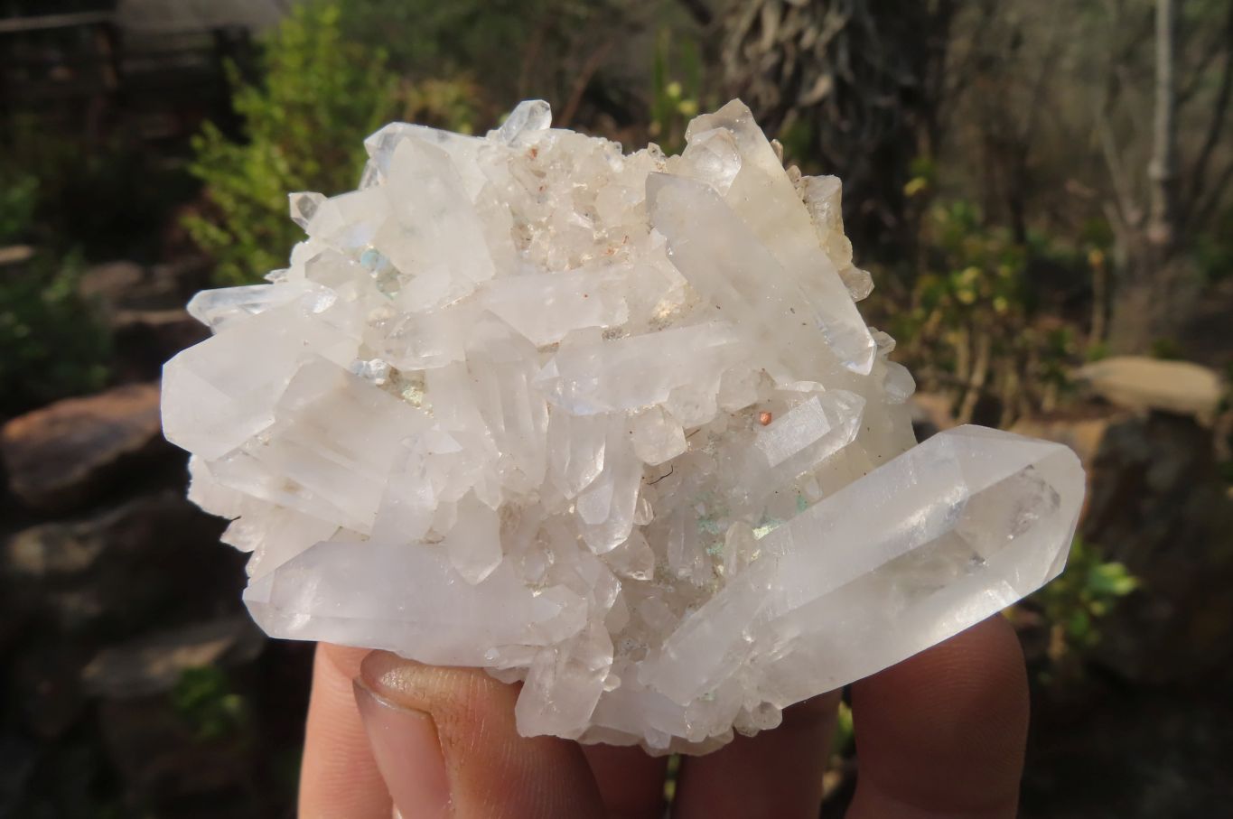 Natural Clear Quartz Crystal Clusters x 12 From Madagascar - Toprock Gemstones and Minerals 