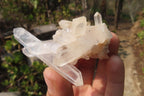 Natural Clear Quartz Crystal Clusters x 12 From Madagascar - Toprock Gemstones and Minerals 
