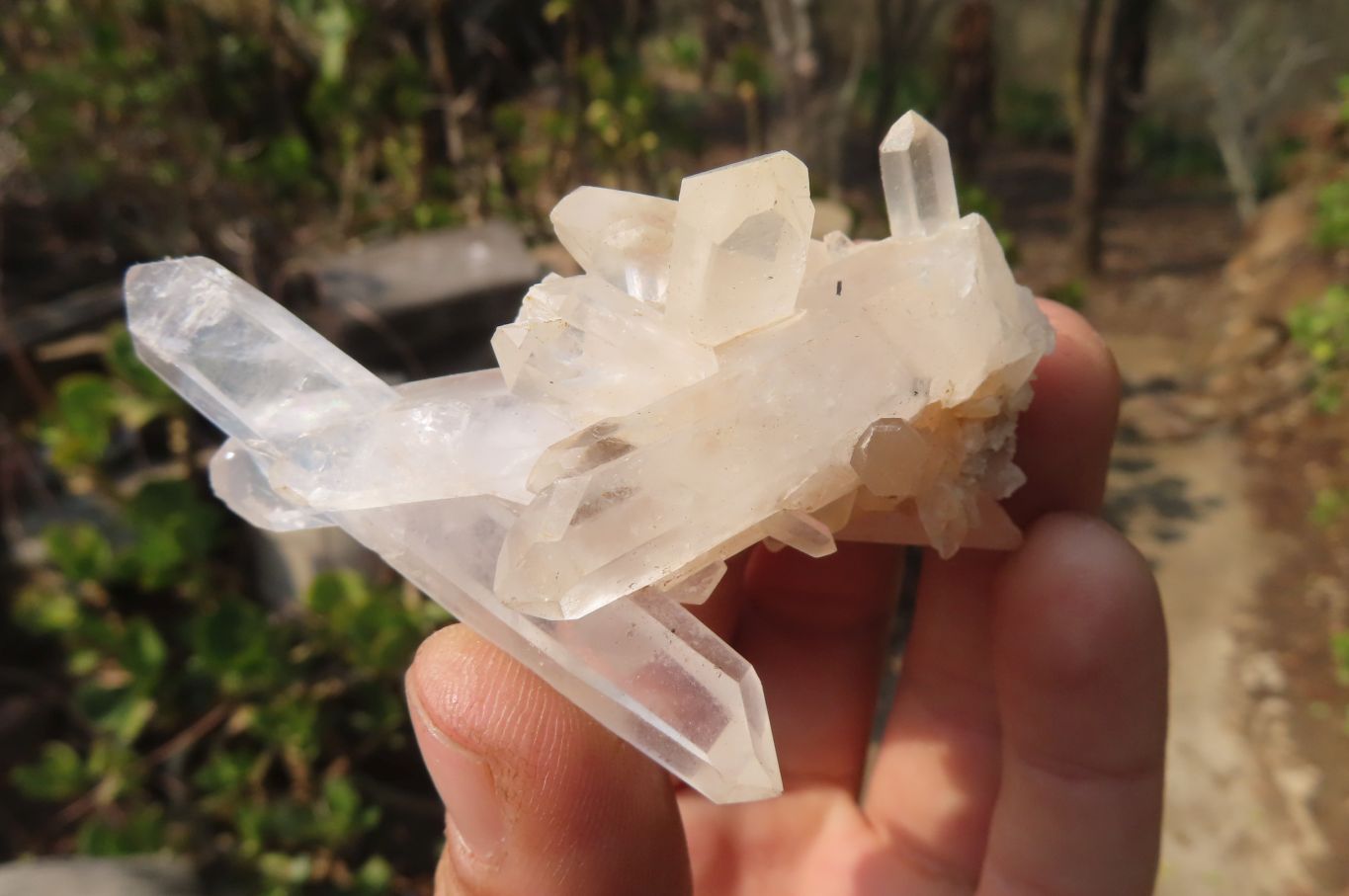Natural Clear Quartz Crystal Clusters x 12 From Madagascar - Toprock Gemstones and Minerals 