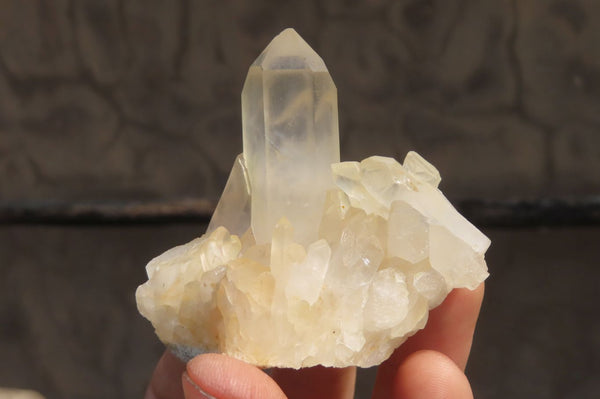 Natural Clear Quartz Crystal Clusters x 12 From Madagascar - Toprock Gemstones and Minerals 
