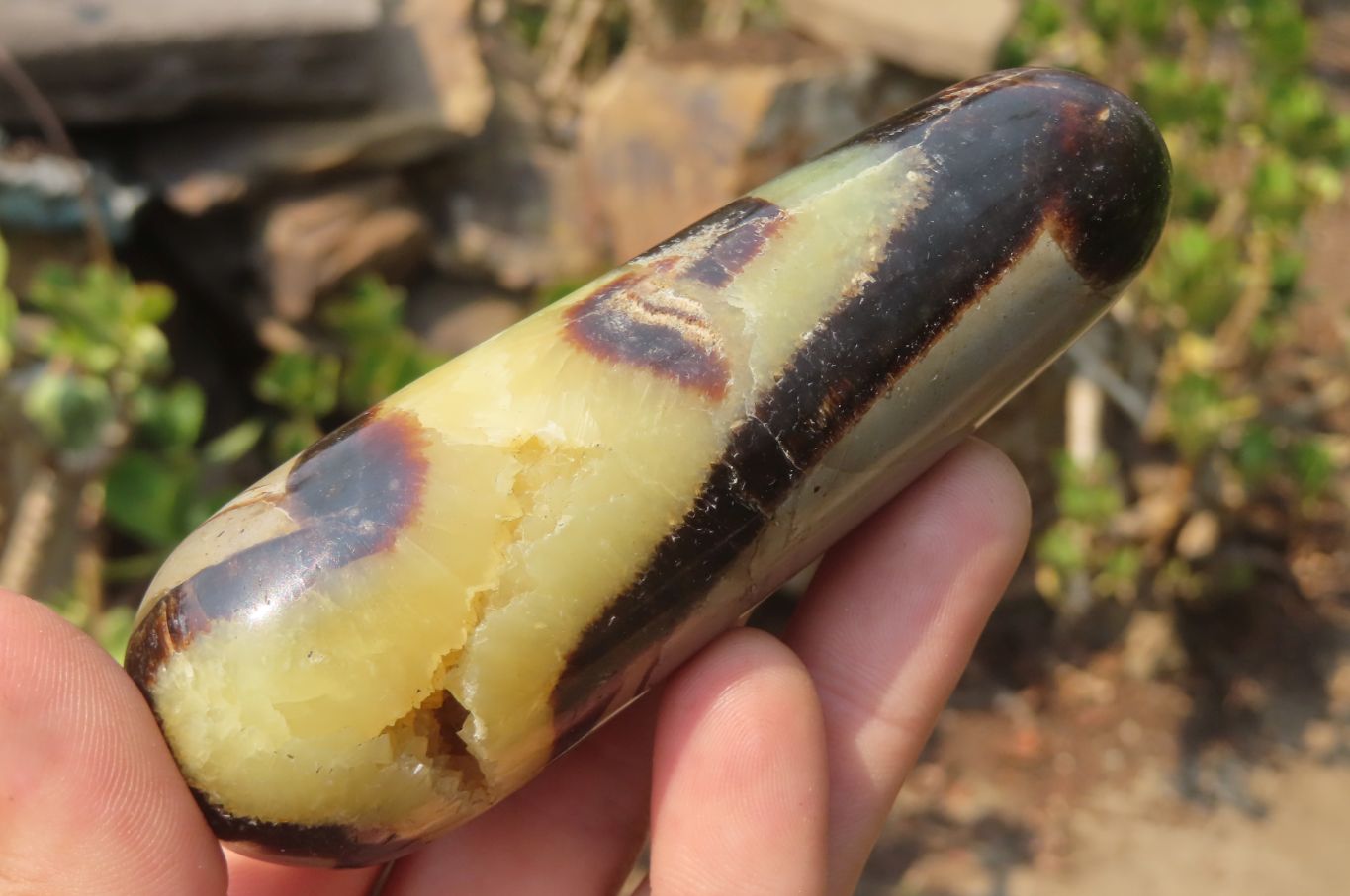 Polished Septerye Massage Wands x 6 From Madagascar - Toprock Gemstones and Minerals 