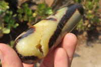 Polished Septerye Massage Wands x 6 From Madagascar - Toprock Gemstones and Minerals 
