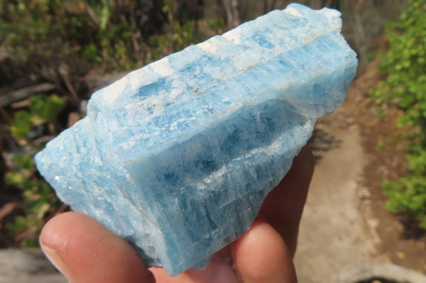 Natural Blue Aquamarine Cobbed Specimens x 7 From Angola