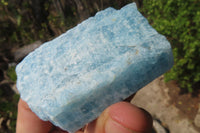 Natural Blue Aquamarine Cobbed Specimens x 7 From Angola