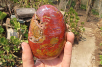 Polished Red Jasper Standing Free Forms x 3 From Madagascar - Toprock Gemstones and Minerals 
