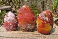Polished Red Jasper Standing Free Forms x 3 From Madagascar - Toprock Gemstones and Minerals 