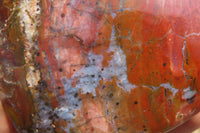 Polished Red Jasper Standing Free Forms x 3 From Madagascar - Toprock Gemstones and Minerals 