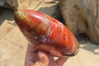 Polished Red Jasper Standing Free Forms x 3 From Madagascar - Toprock Gemstones and Minerals 