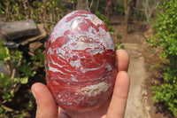 Polished Red Jasper Standing Free Forms x 3 From Madagascar - Toprock Gemstones and Minerals 