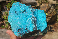 Natural Silica Chrysocolla Specimens x 2 From Kulukuluku, Congo - Toprock Gemstones and Minerals 