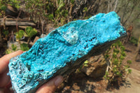 Natural Silica Chrysocolla Specimens x 2 From Kulukuluku, Congo - Toprock Gemstones and Minerals 