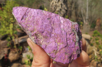 Natural Metallic Purpurite Cobbed Specimens x 12 From Erongo, Namibia - Toprock Gemstones and Minerals 