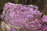 Natural Metallic Purpurite Cobbed Specimens x 12 From Erongo, Namibia - Toprock Gemstones and Minerals 