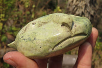 Polished Leopard Stone Cat Face Carvings x 3 From Zimbabwe - Toprock Gemstones and Minerals 