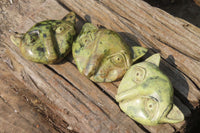 Polished Leopard Stone Cat Face Carvings x 3 From Zimbabwe - Toprock Gemstones and Minerals 