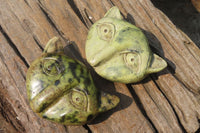 Polished Leopard Stone Cat Face Carvings x 3 From Zimbabwe - Toprock Gemstones and Minerals 