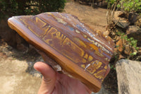 Polished On One Side Nguni Jasper Specimens x 2 From Prieska, South Africa - Toprock Gemstones and Minerals 