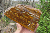Polished On One Side Nguni Jasper Specimens x 2 From Prieska, South Africa - Toprock Gemstones and Minerals 