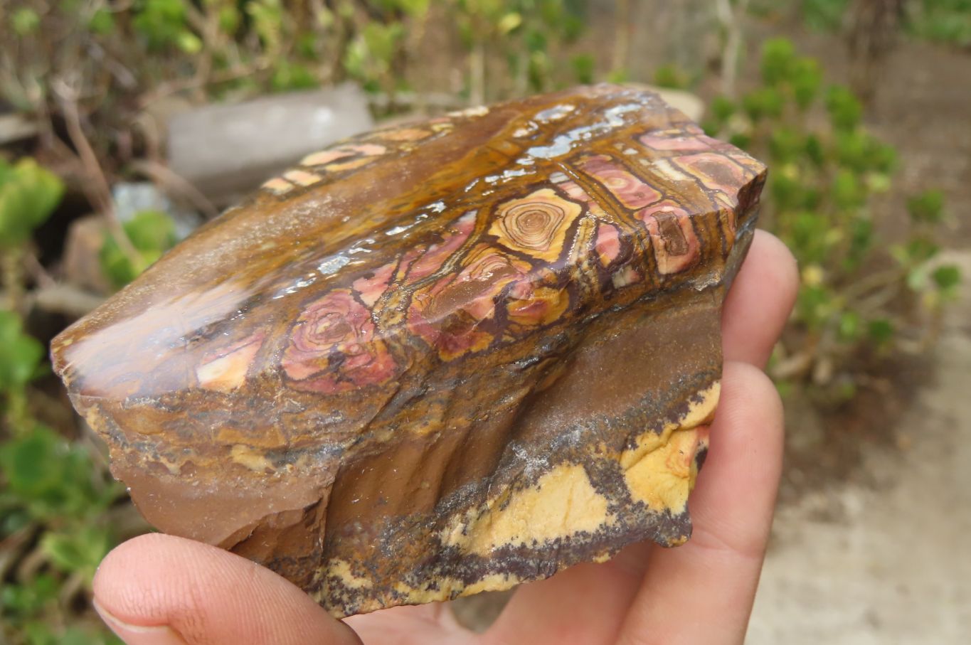 Polished On One Side Nguni Jasper Specimens x 2 From Prieska, South Africa - Toprock Gemstones and Minerals 