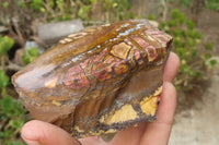 Polished On One Side Nguni Jasper Specimens x 2 From Prieska, South Africa - Toprock Gemstones and Minerals 