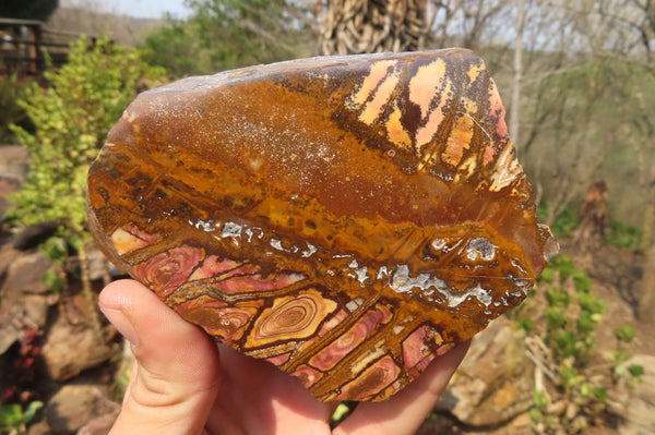 Polished On One Side Nguni Jasper Specimens x 2 From Prieska, South Africa - Toprock Gemstones and Minerals 