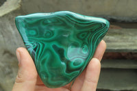 Polished Flower Banded Malachite Free Forms x 4 From Congo - Toprock Gemstones and Minerals 