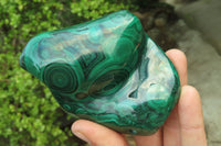 Polished Flower Banded Malachite Free Forms x 4 From Congo - Toprock Gemstones and Minerals 